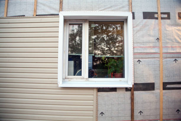 Best Demolition Debris Removal  in Dunlap, IL