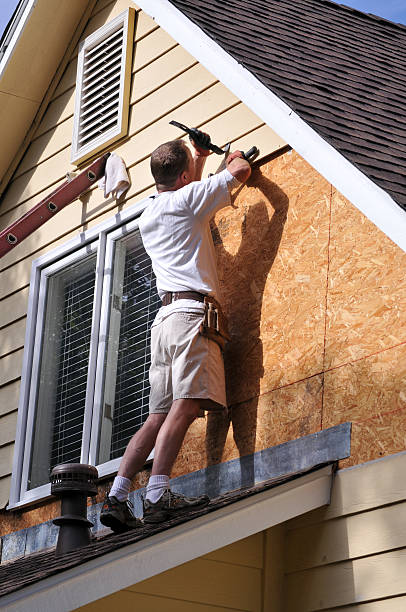 Best Attic Cleanout  in Dunlap, IL